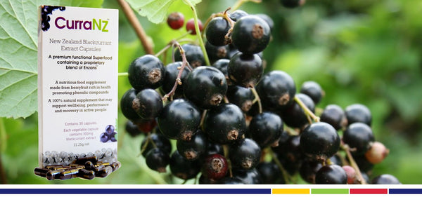 Team Elivar Recommends CurraNZ New Zealand Blackcurrant Extract Capsules